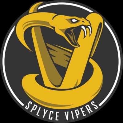 Splyce Vipers
