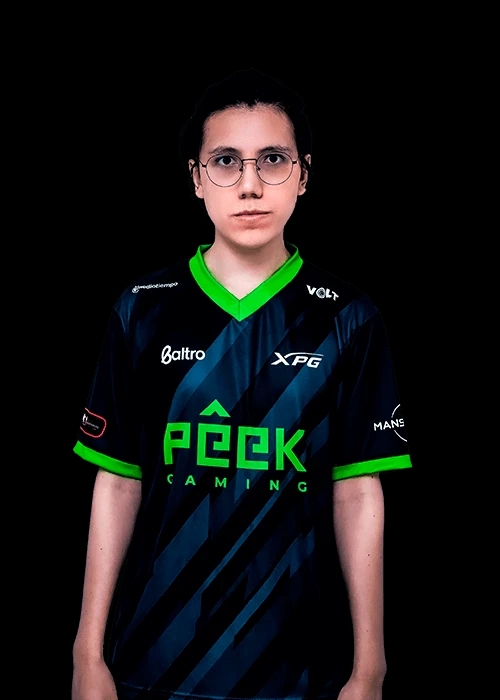 Sander