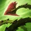 Zyra 3 ability