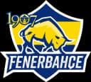 1907 Fenerbahçe