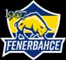1907 Fenerbahçe