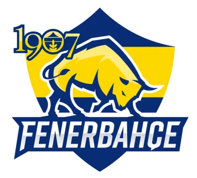 Fenerbahçe Academy