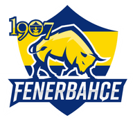 Fenerbahçe Academy