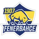 1907 Fenerbahçe Esports