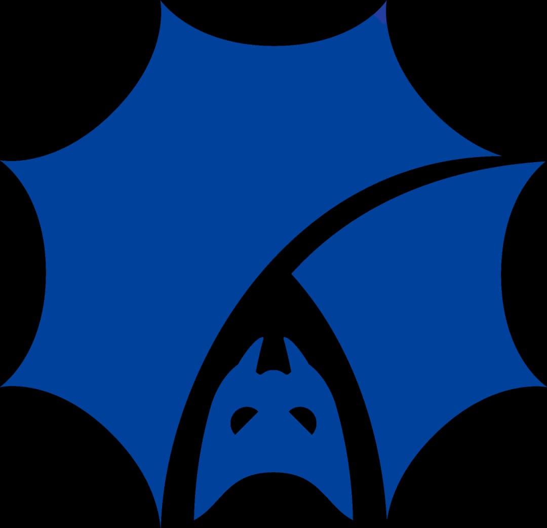 Angry Bats Academy