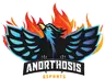Anorthosis Esports