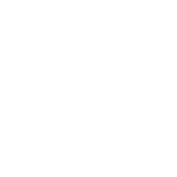 Asset Esport