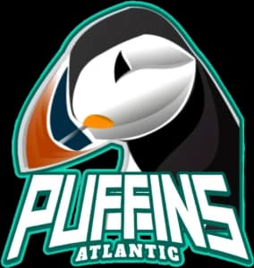 Atlantic Puffins