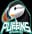 Atlantic Puffins