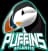 Atlantic Puffins