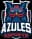 Azules Esports Fem