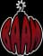 BAAM
