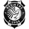 Beşiktaş e-Sports Club
