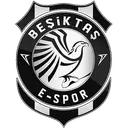 Beşiktaş e-Sports Club