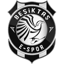 Beşiktaş e-Sports Club