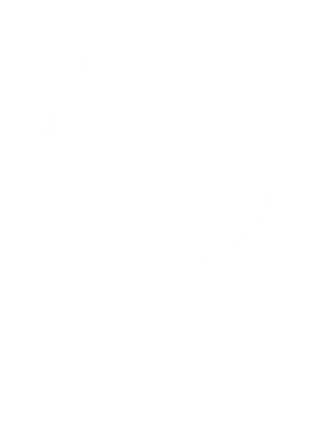 BT Excel