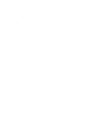 BT Excel