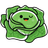 Cabbage Family