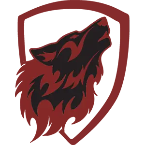 cerberus-esports-vietnamese-team