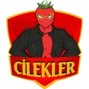 ÇİLEKLER