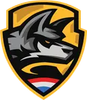 Copenhagen Wolves Academy