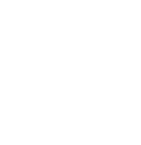Corvidae