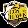 COS City Hawk