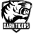 Dark Tigers Academy