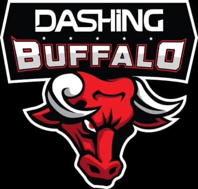Dashing Buffalo
