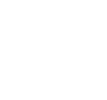 Dewish Team