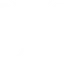 Dewish Team