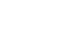 Dewish Team