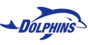 Dolphins of Wall Street