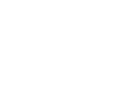 Domino Computer