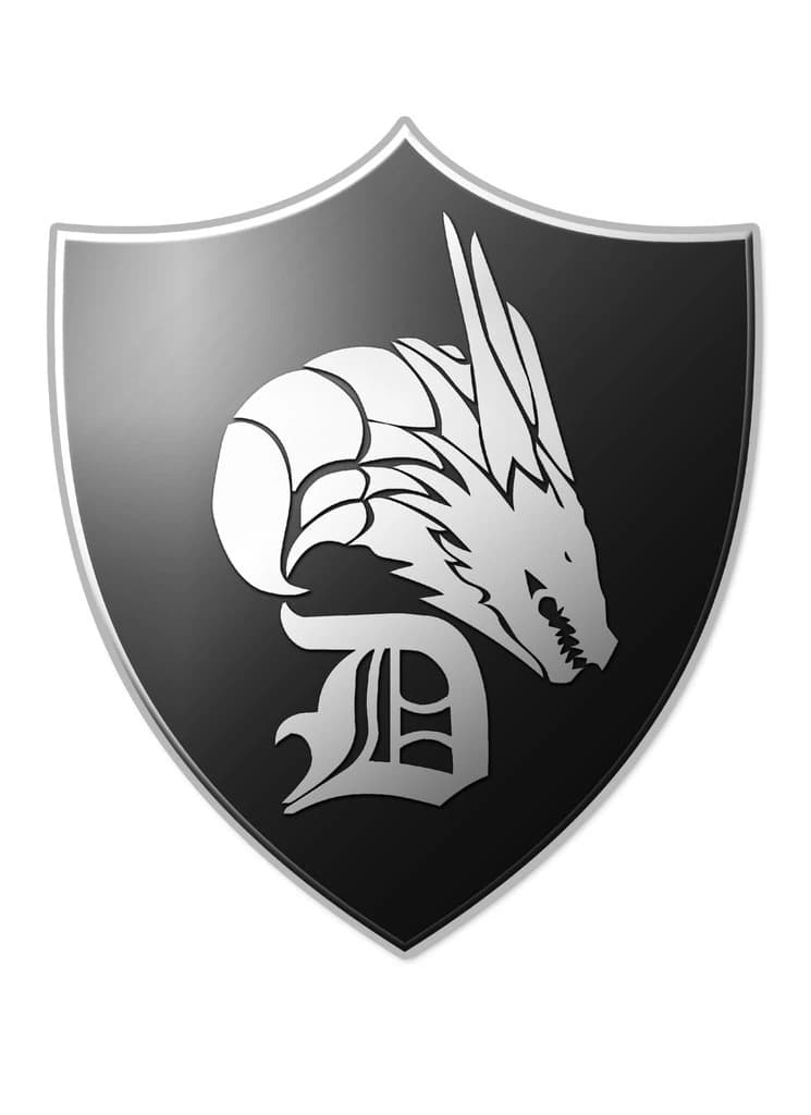 Dragon Team