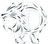 Dream or Reality