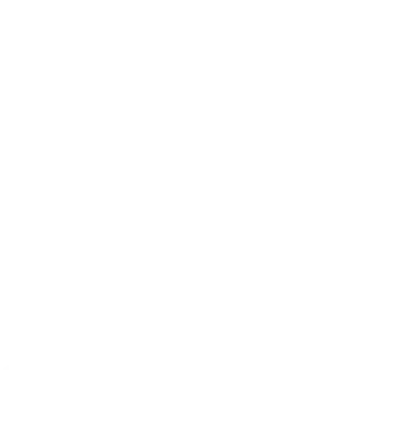 Dsyre