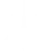 DSYRE