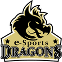 E-Sports Dragons Pro
