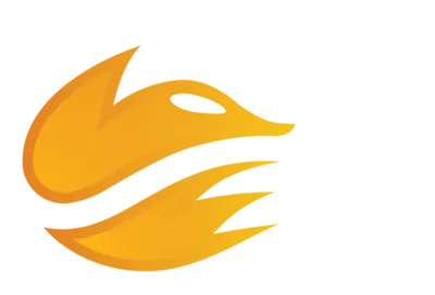 Echo Fox Academy