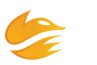 Echo Fox Academy