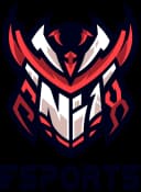Enix Esports