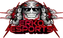 ERKO Esports