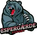 Espergærde eSport