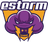 ESTORM