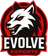 Evolve eSports