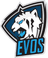 EVOS Esports
