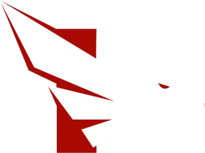 FALKE ESPORTS