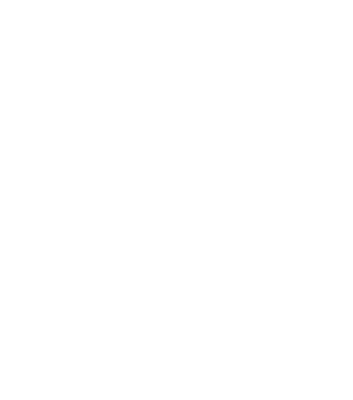 FALKN
