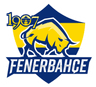 Fenerbahçe Academy